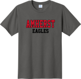 AMS Fan Favorite Tees - Amherst Eagles logo 2026